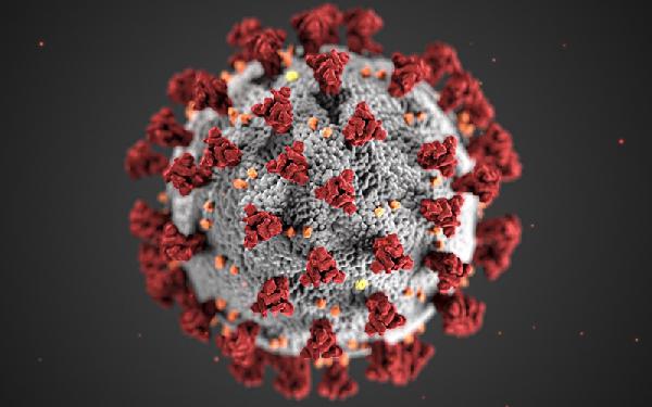 RUVID UPV coronavirus